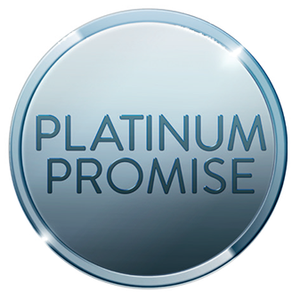 promise.png